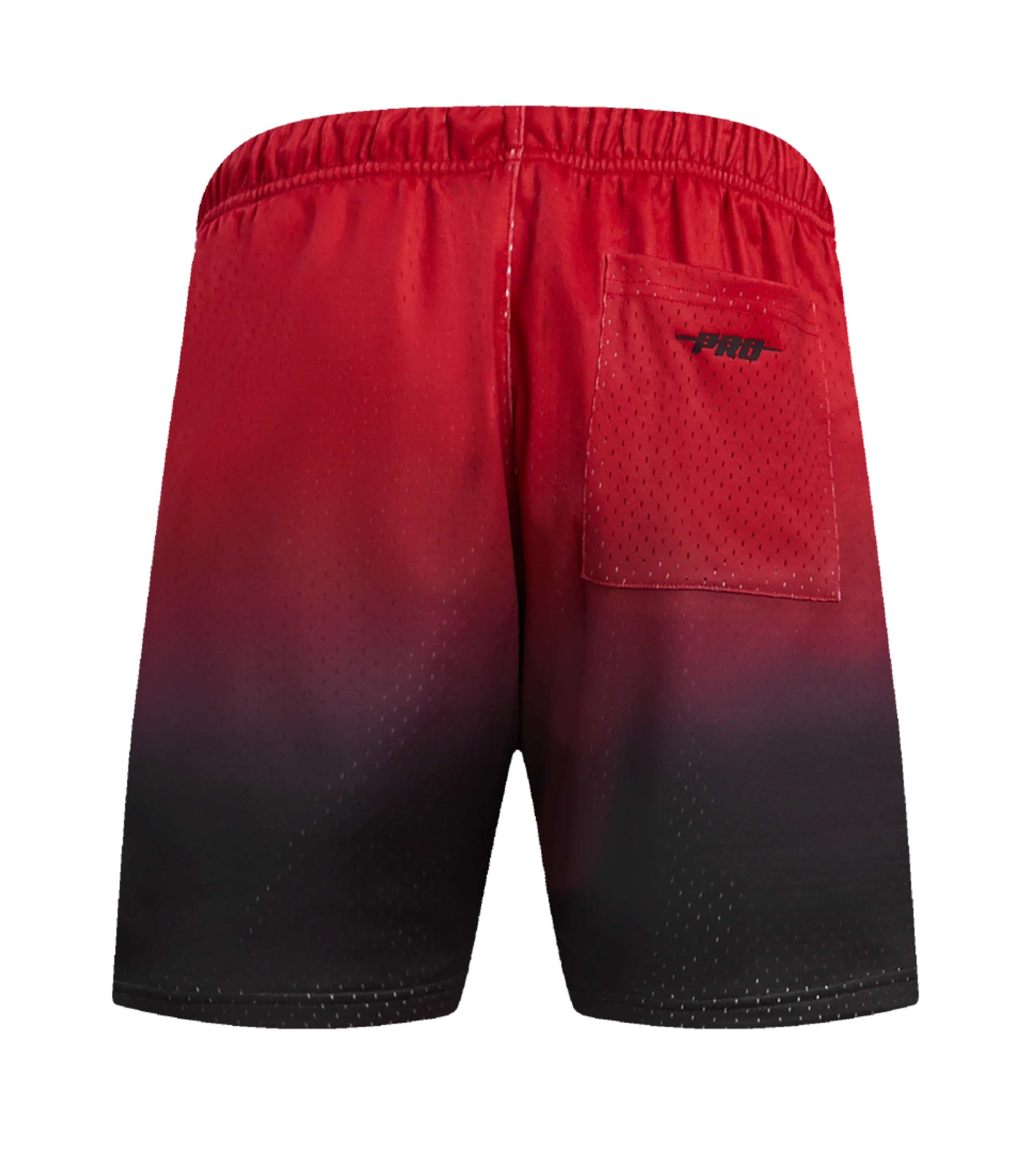 Pro Standard HEAT Culture Gradient Shorts - Image 2