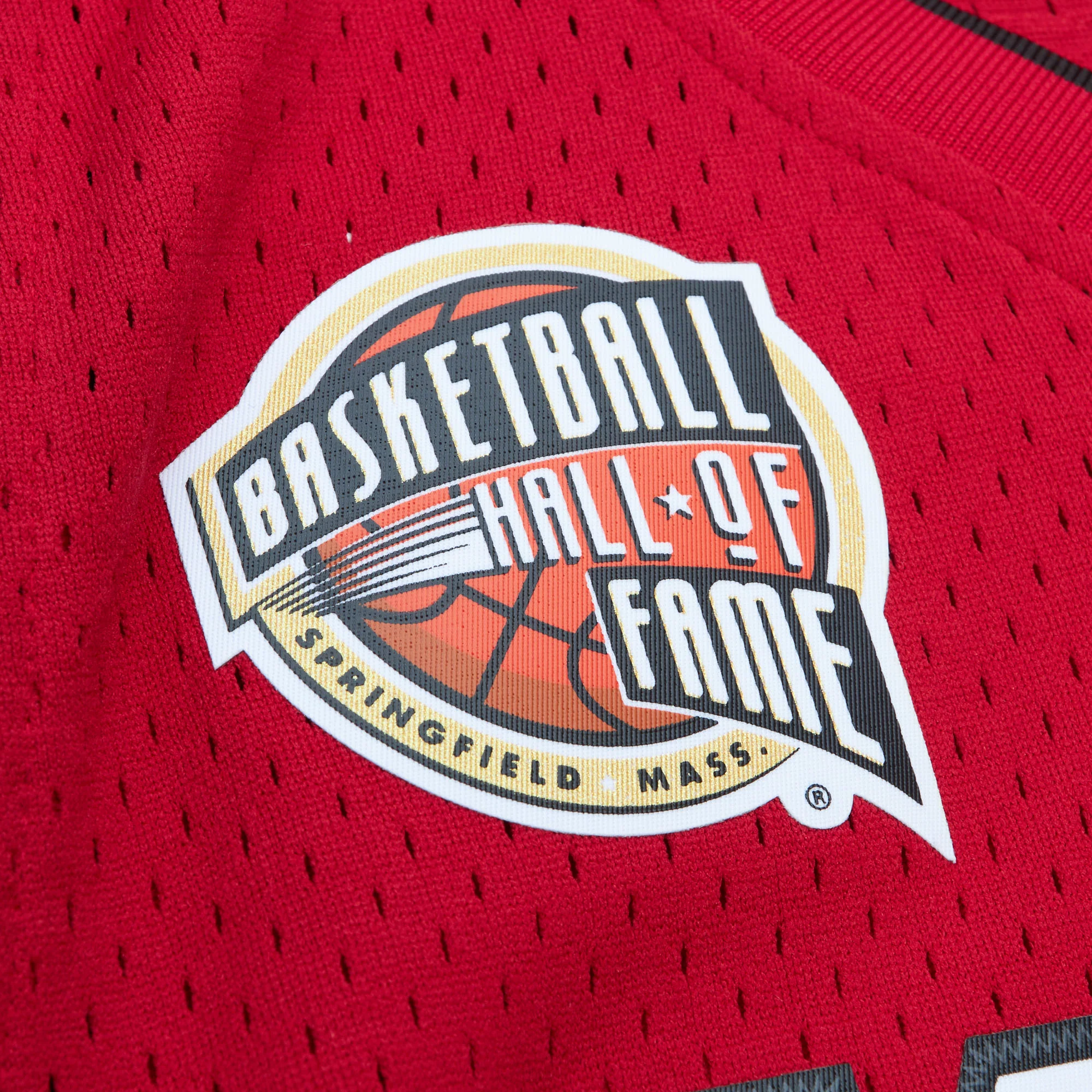 Court Culture x Mitchell and Ness Wade HOF Jersey - Image 4